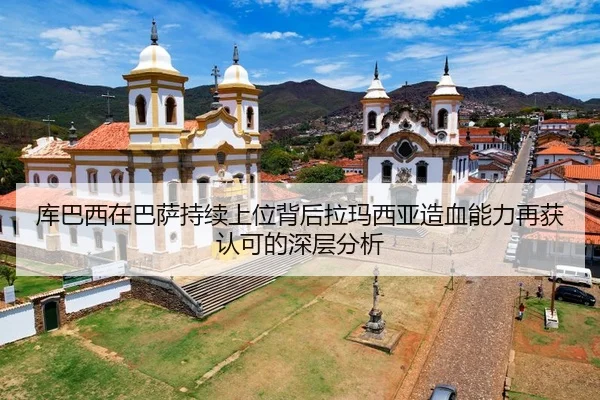 ku-ba-xi-zai-ba-sa-chi-xu-shang-wei-bei-hou-la-ma-xi-ya-zao-xue-neng-li-zai-huo-ren-ke-de-shen-ceng-fen-xi-2-174.jpg