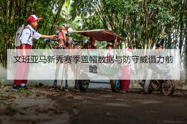 文班亚马新秀赛季盖帽数据与防守威慑力前瞻