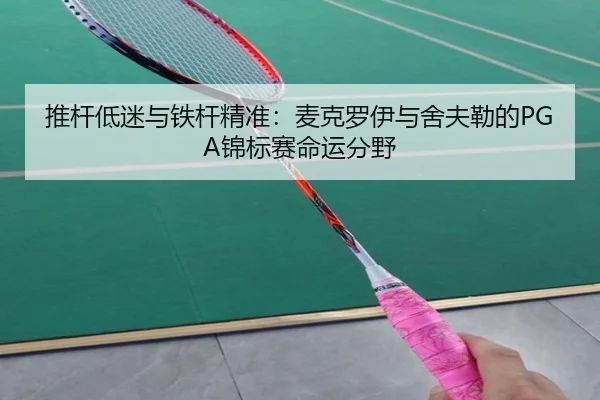 tui-gan-di-mi-yu-tie-gan-jing-zhun-mai-ke-luo-yi-yu-she-fu-lei-de-jin-biao-sai-ming-yun-fen-ye-2-398.jpg