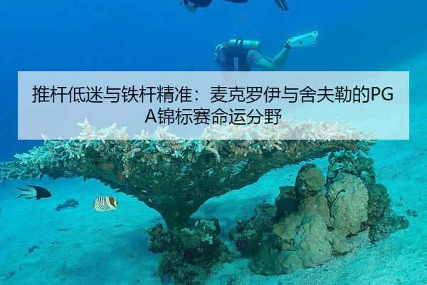 tui-gan-di-mi-yu-tie-gan-jing-zhun-mai-ke-luo-yi-yu-she-fu-lei-de-jin-biao-sai-ming-yun-fen-ye-3-988.jpg