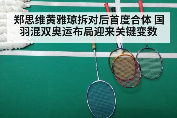 badminton training match