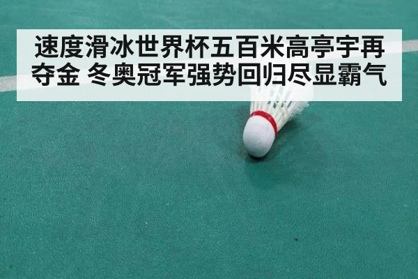 速度滑冰世界杯五百米高亭宇再夺金 冬奥冠军强势回归尽显霸气